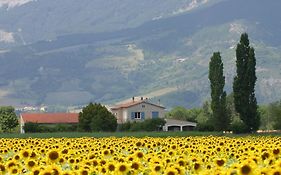 Le Mas De Saint-Ferréol Studio